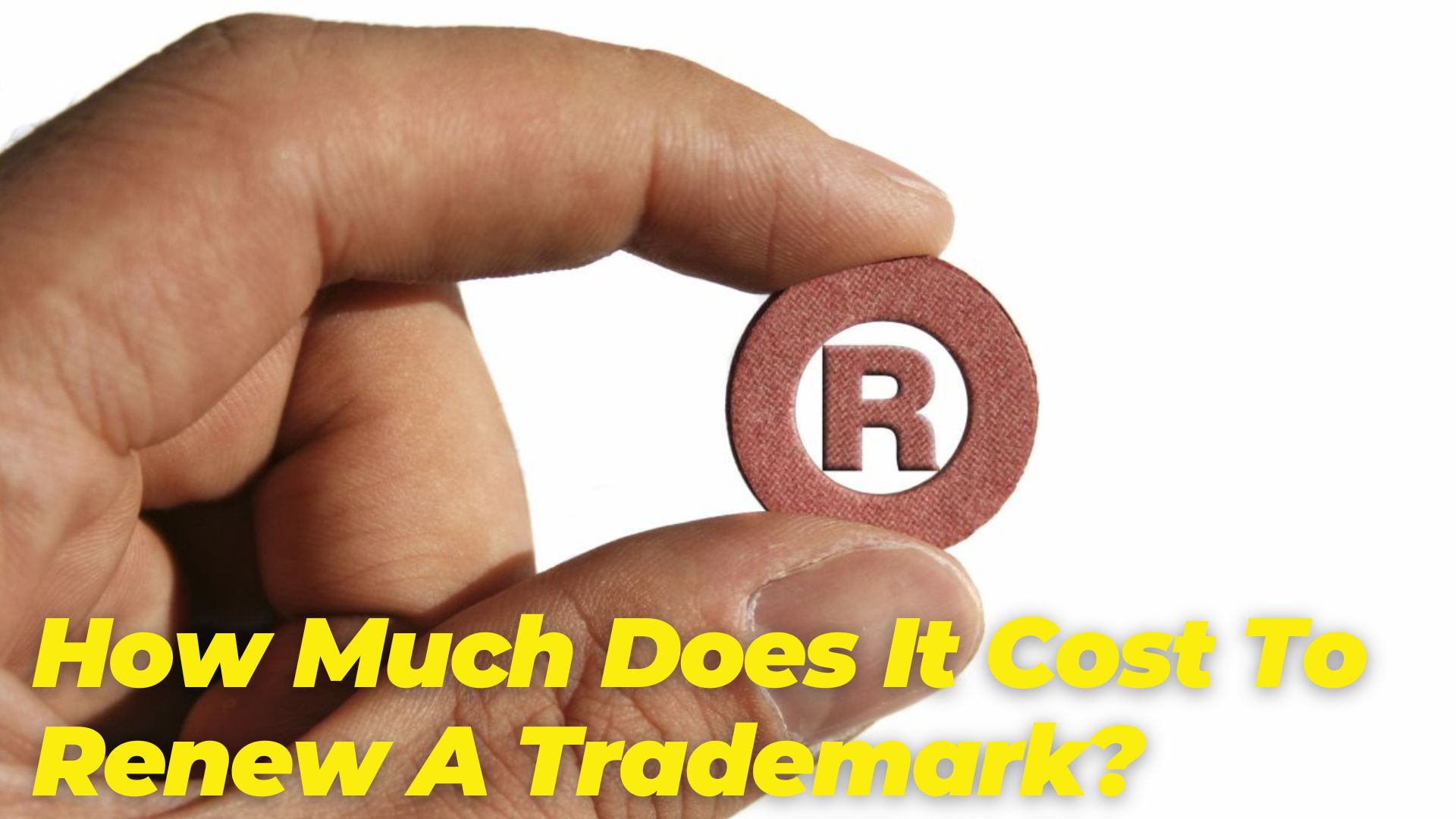 How Much Does It Cost To Renew A Trademark?